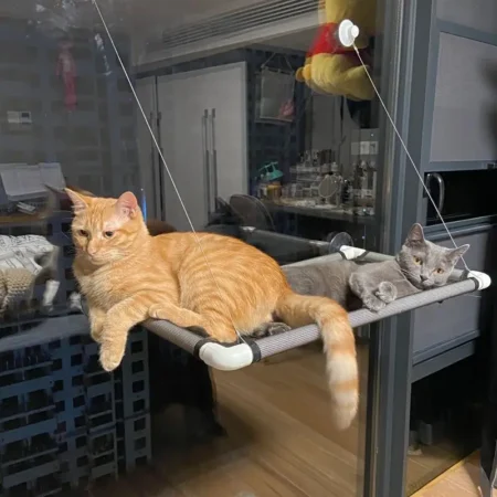 ChillView – Cat Hammock for Window Lovers