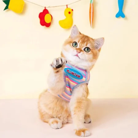 Thin Rainbow Vest for Cats – Anti-Shedding & Breathable Summer Wear